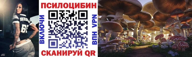 OMG tor  Кандалакша  Галлюциногенные грибы GOLDEN TEACHER 