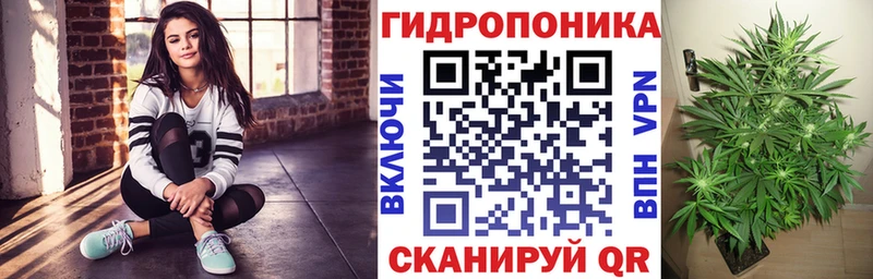 наркотики  Кандалакша  Бошки Шишки конопля 